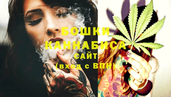 бошки Бородино