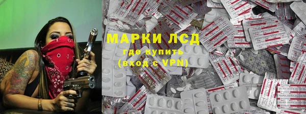 бошки Бородино