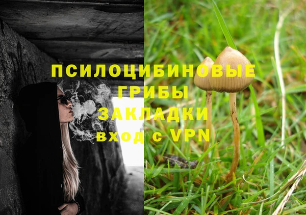 PSILOCYBIN Бронницы