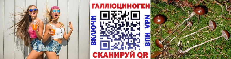 Псилоцибиновые грибы Psilocybine cubensis  Верхняя Тура 