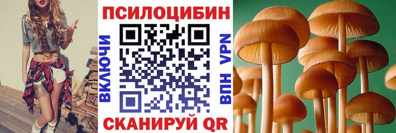 Галлюциногенные грибы MAGIC MUSHROOMS Верхняя Тура